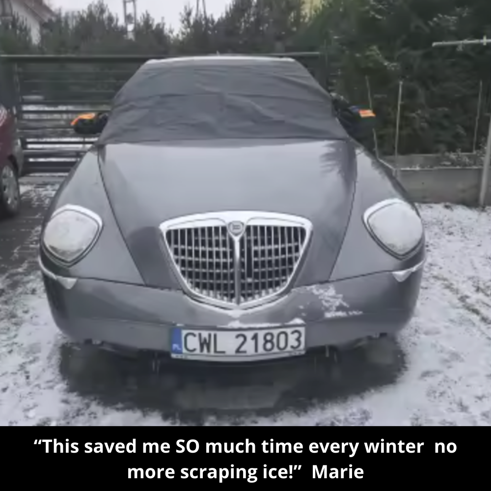 ClimaGuard™ – 4-Season Climate Shield (New Version)